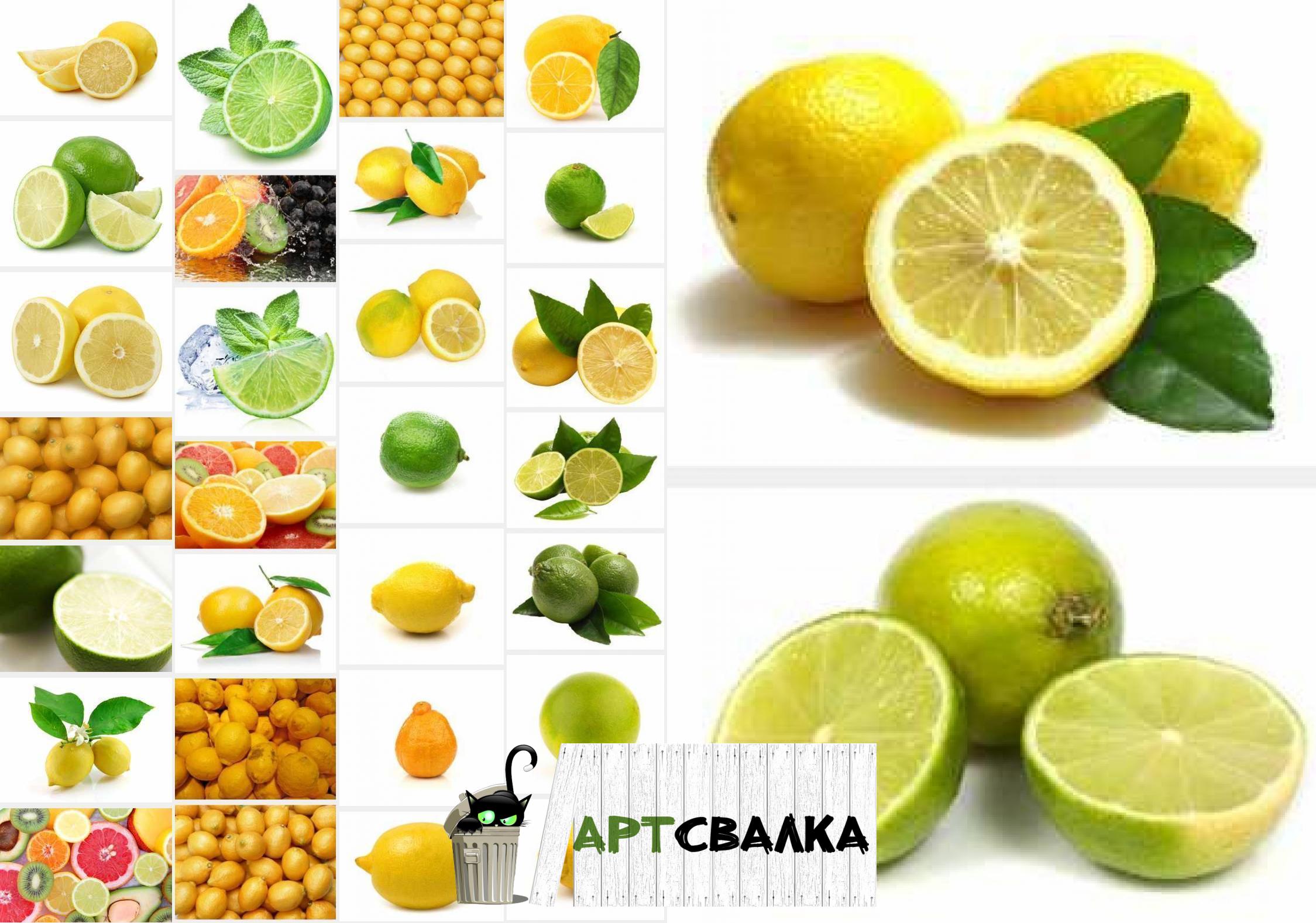 Коллекция Лимонов и Лаймов в хорошем разрешении | A collection of Lemons and Limes in a good resolution