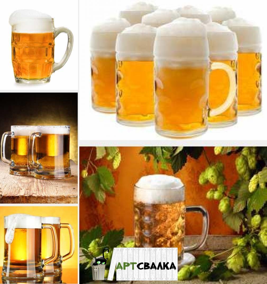 Бокалы с пивом | Glasses of beer